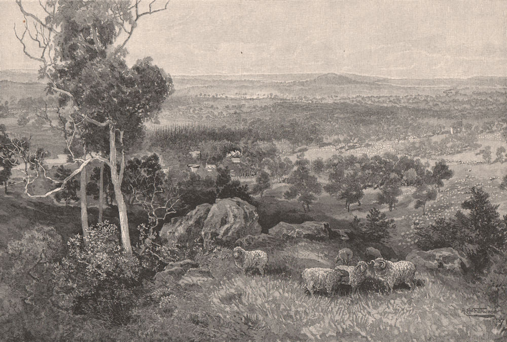 ERCILDOUNE sheep station, Victoria. Australia 1888 old antique print picture